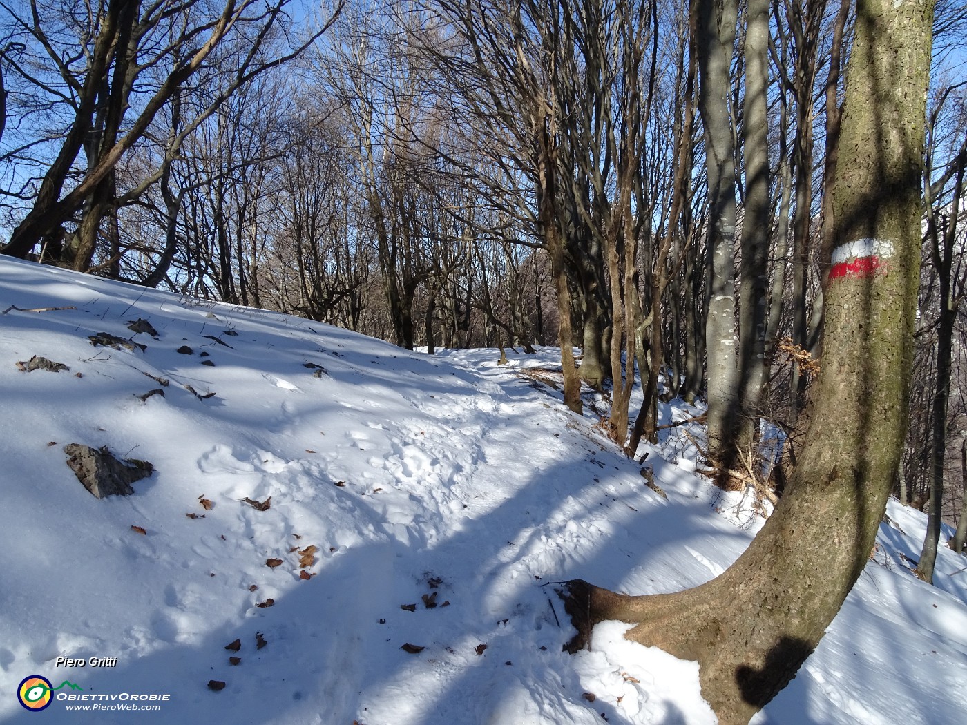 21 Pestando neve nella bellissima faggeta.JPG